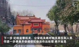南京寺庙爆料事件视频,揭秘背后真相与争议