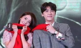 台湾媒体爆料李易峰视频,台湾媒体独家爆料引发热议