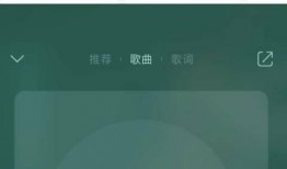 新闻爆料用的音频叫什么,揭秘新闻背后的声音秘密